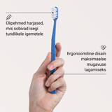 Alpine White. Toothbrush, hambahari