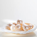 Beausta Perfect Cover BB Cream Natural Beige #23. Kauakestev, hooldav BB-jumestuskreem naturaalne beež 10ml